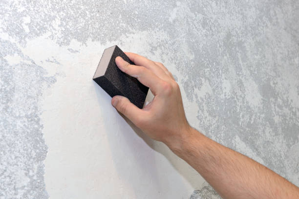 Mold Remediation for Vacation Homes in Old Orchard, PA